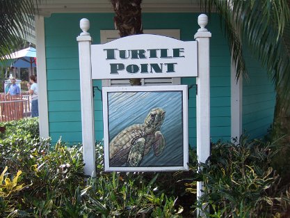 TurtlePoint
