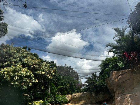 20240915_145159_iPhone