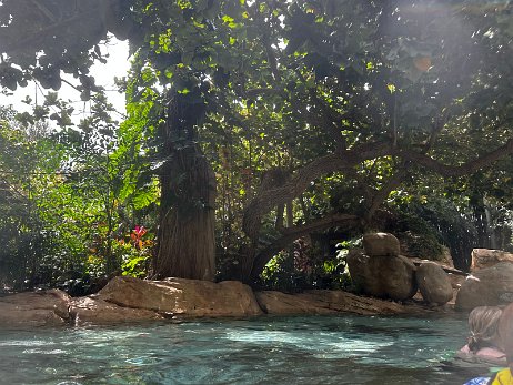 20240915_145317_iPhone