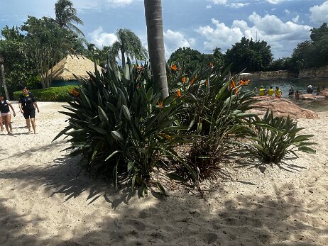 20250912_135616_iPhone