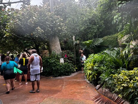 20250912_120632_iPhone