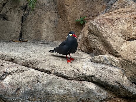 20250912_154732_iPhone