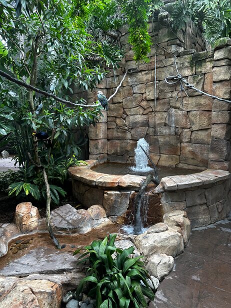 20250912_155252_iPhone