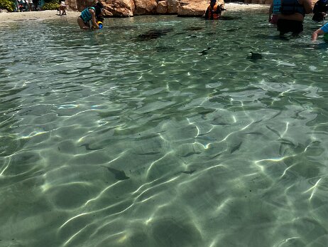 20250912_134653_iPhone