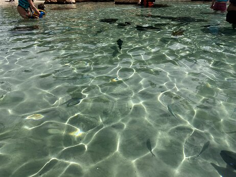 20250912_134658_iPhone