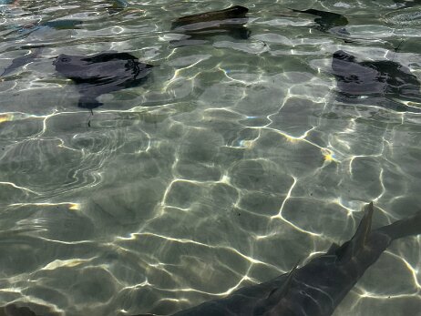 20250912_134707_iPhone