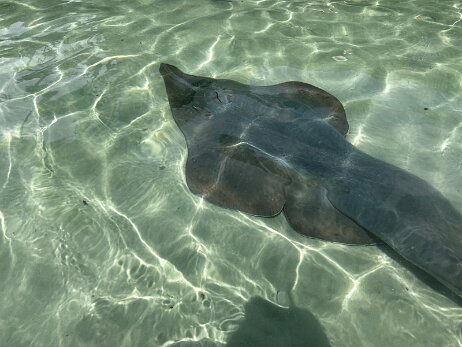 20250912_134710_iPhone