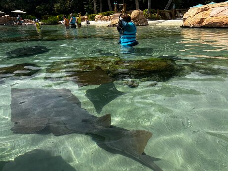 20250912_134719_iPhone