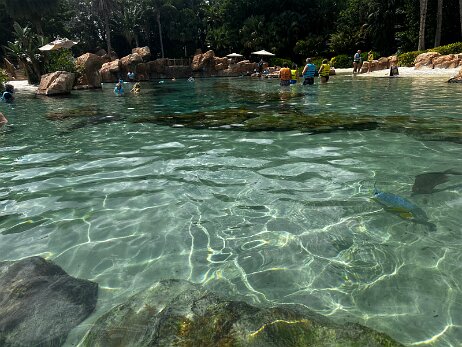 20250912_134731_iPhone