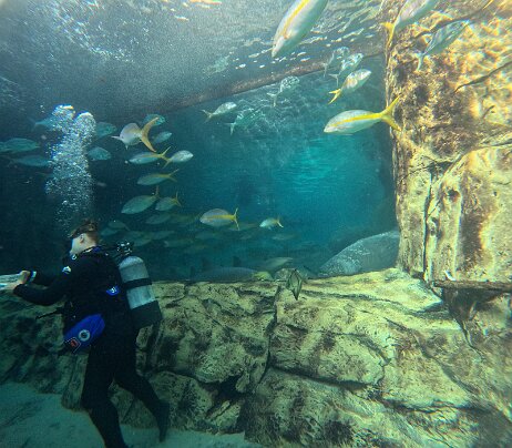 20250912_095211_iPhone