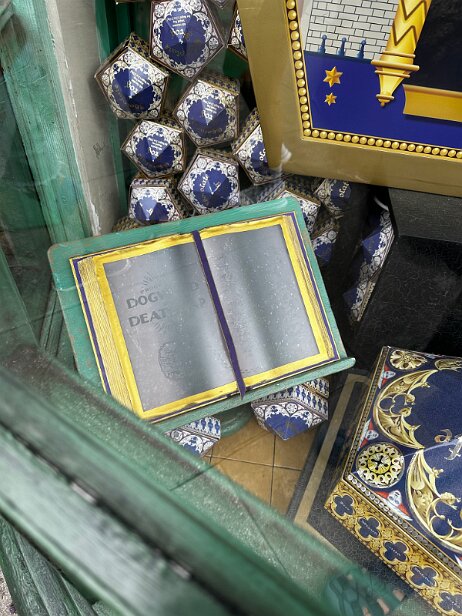 20250910_121934_iPhone