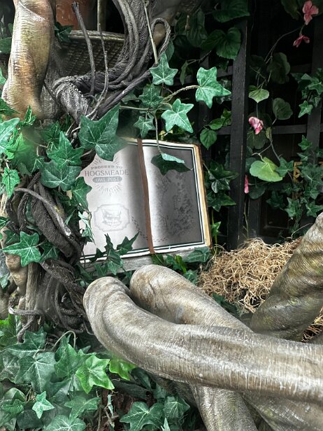 20250910_122656_iPhone